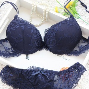 Sexy Lace Bra Set Push Up Seamless Embroidery Erotic Lingerie Women Underwear